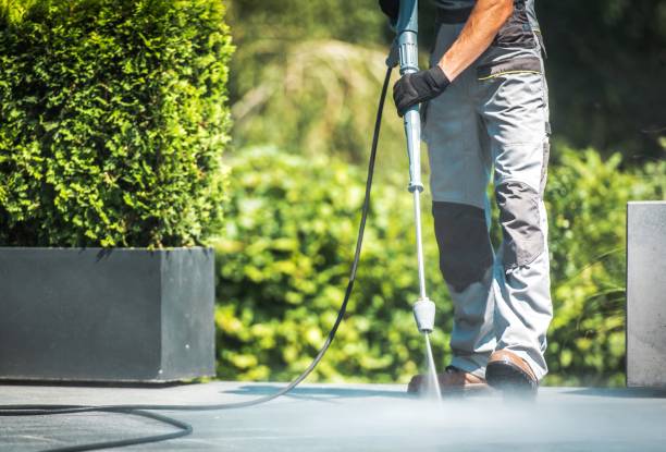 Best Roof Cleaning and Mildew Removal in Seis Lagos, TX