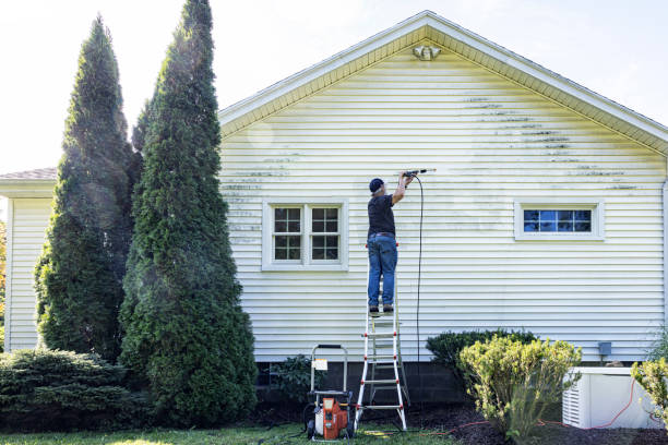 Best Fence Cleaning and Maintenance in Seis Lagos, TX